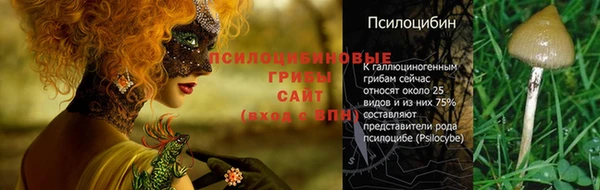 мет Рославль
