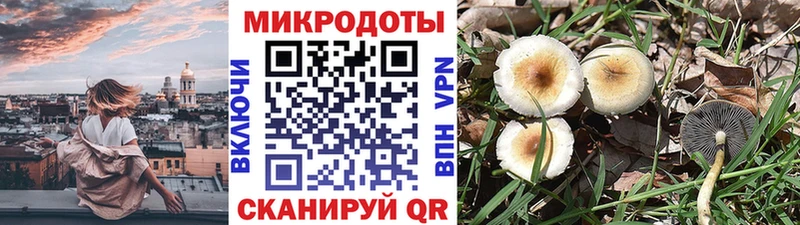 сайты даркнета телеграм  что такое наркотик  Ставрополь  Галлюциногенные грибы GOLDEN TEACHER 